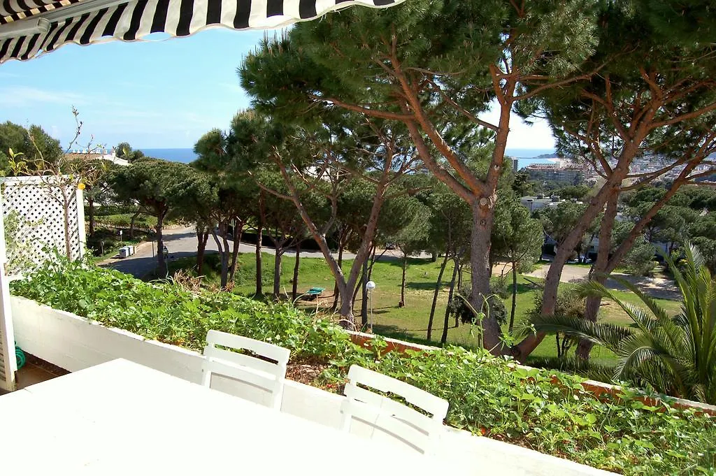 Apartamentos Politur Apartment